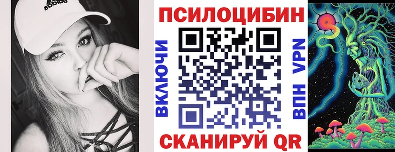 Псилоцибиновые грибы Cubensis Верхоянск